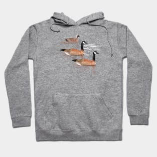 Canada Geese Hoodie